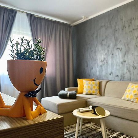 S&S Apartment Studio At Ground Floor Timisoara Town !!! Parcare La Locatie !! Exterior photo