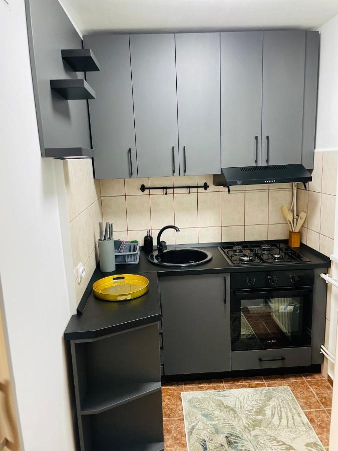 S&S Apartment Studio At Ground Floor Timisoara Town !!! Parcare La Locatie !! Exterior photo