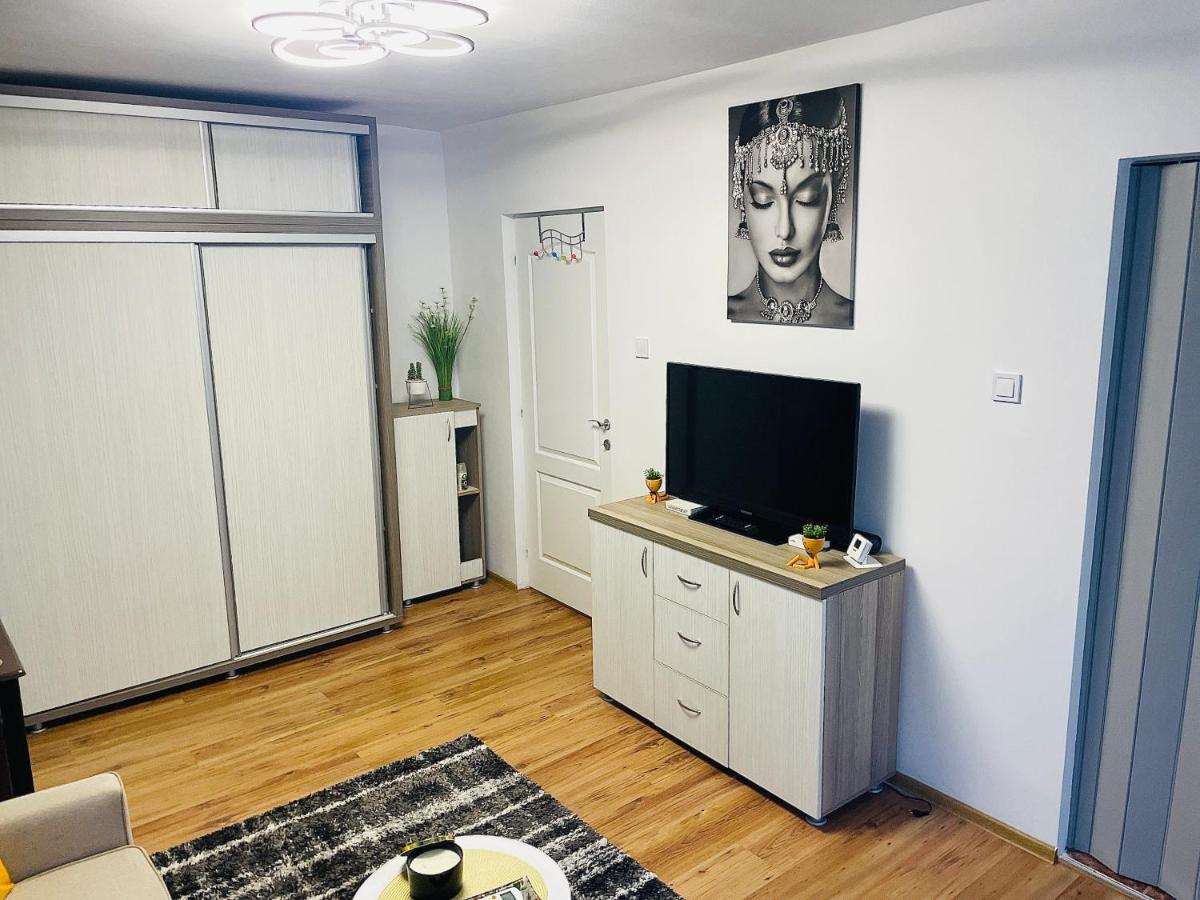 S&S Apartment Studio At Ground Floor Timisoara Town !!! Parcare La Locatie !! Exterior photo