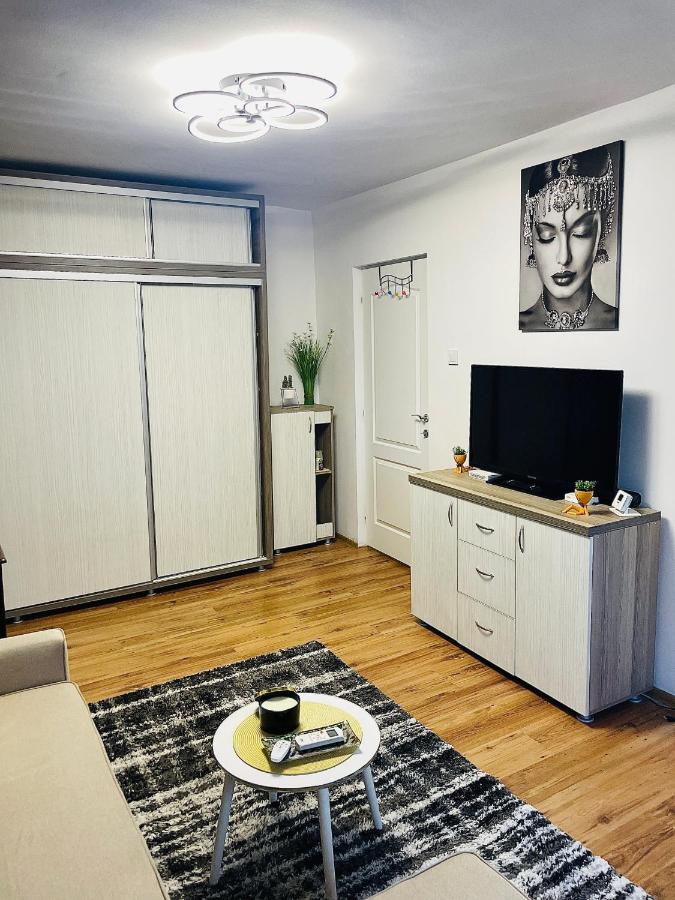 S&S Apartment Studio At Ground Floor Timisoara Town !!! Parcare La Locatie !! Exterior photo