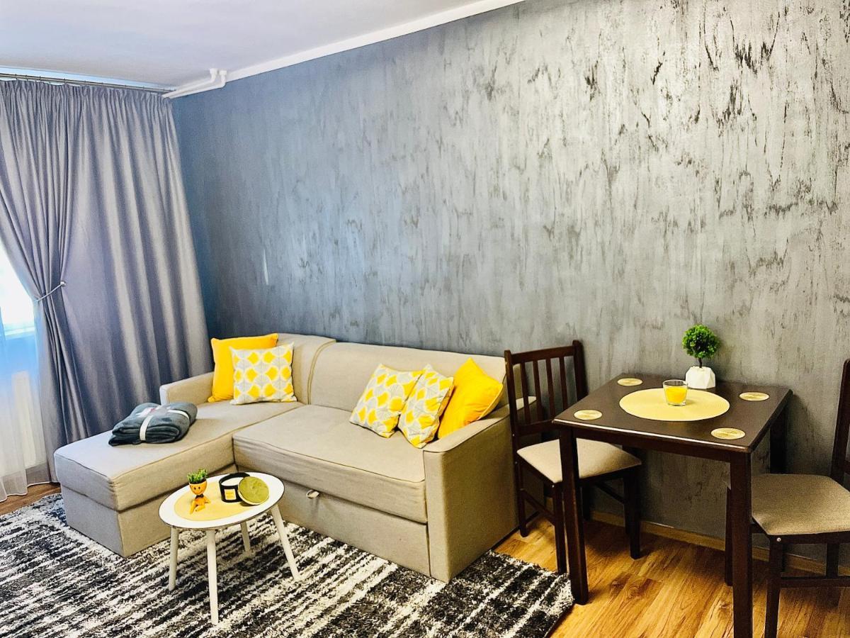 S&S Apartment Studio At Ground Floor Timisoara Town !!! Parcare La Locatie !! Exterior photo