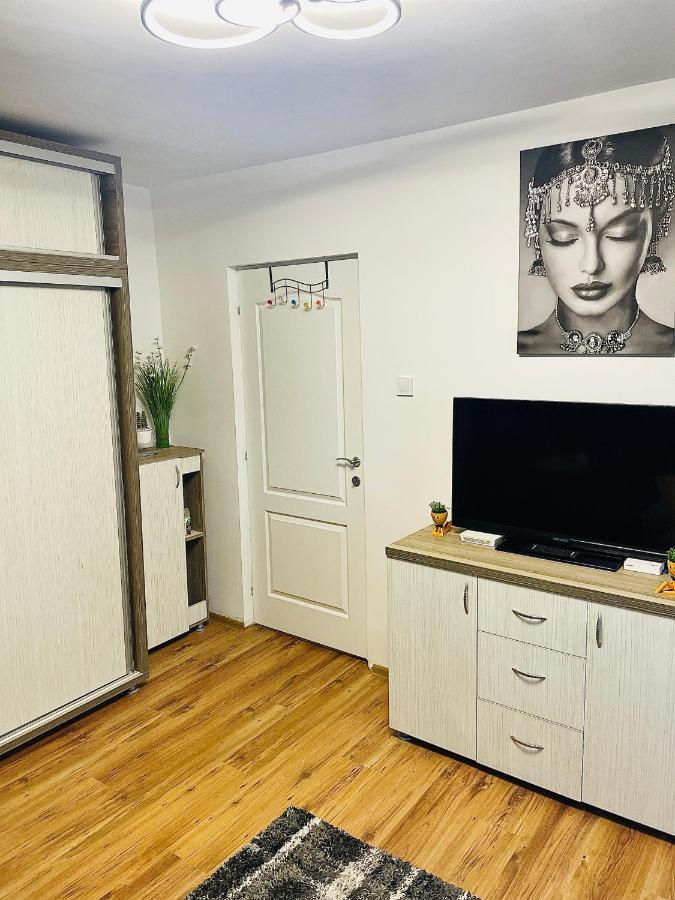 S&S Apartment Studio At Ground Floor Timisoara Town !!! Parcare La Locatie !! Exterior photo