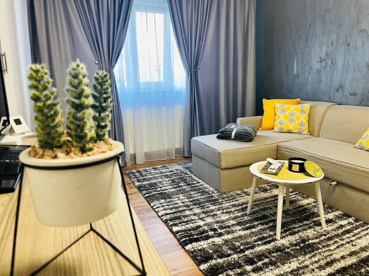 S&S Apartment Studio At Ground Floor Timisoara Town !!! Parcare La Locatie !! Exterior photo
