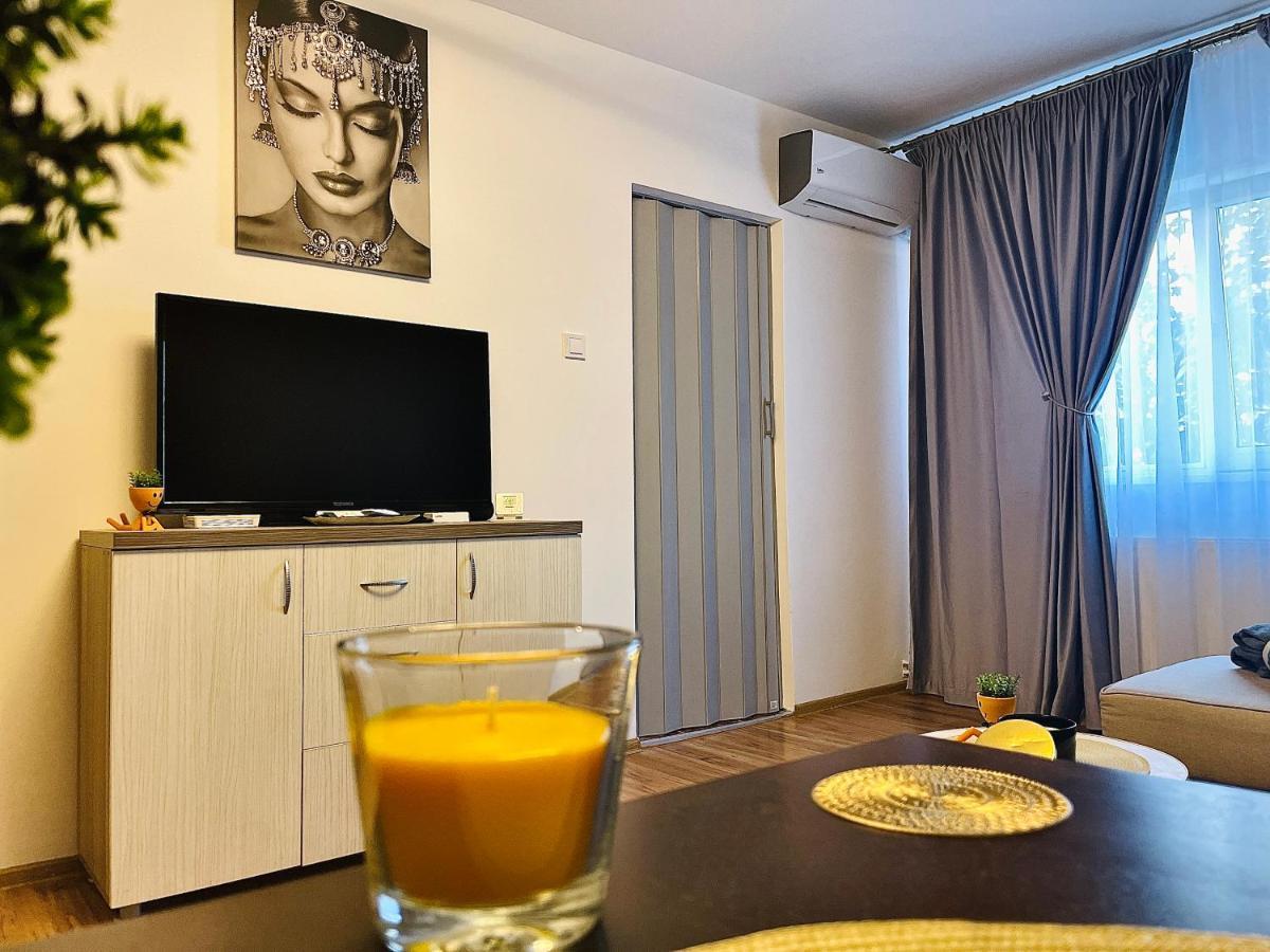 S&S Apartment Studio At Ground Floor Timisoara Town !!! Parcare La Locatie !! Exterior photo